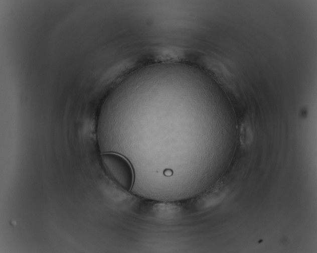 X0000093520714200710191332