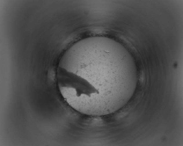 X0000093520715200710191332