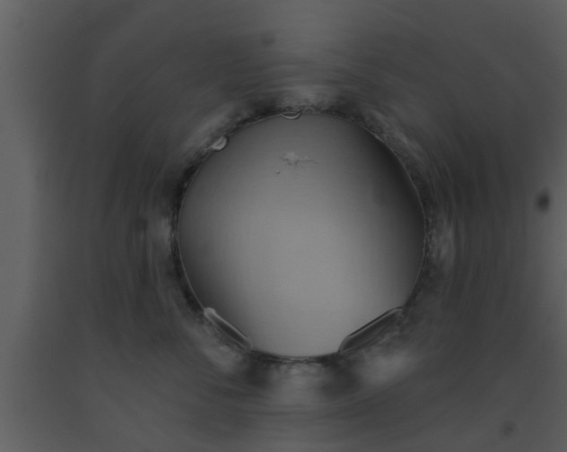 X0000093520716200710191332