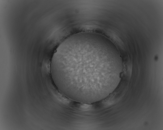 X0000093520718200710191332