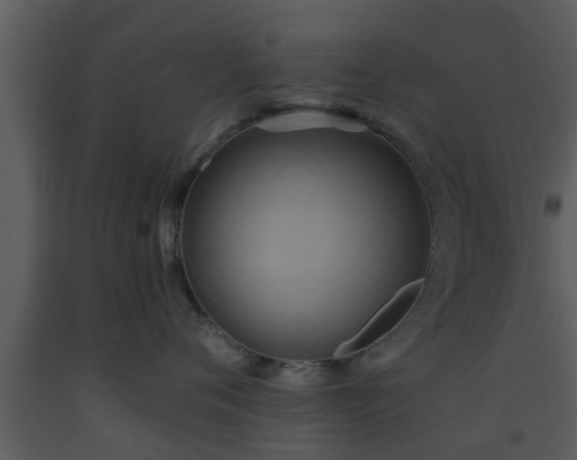 X0000093520720200710191332