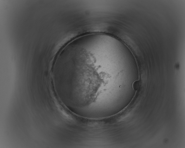 X0000093520721200710191331