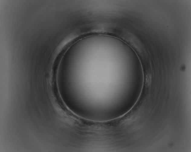 X0000093520724200710191331