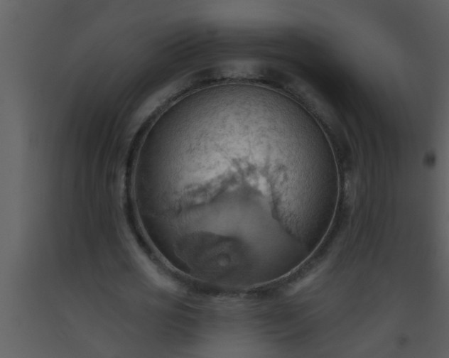 X0000093520725200710191331