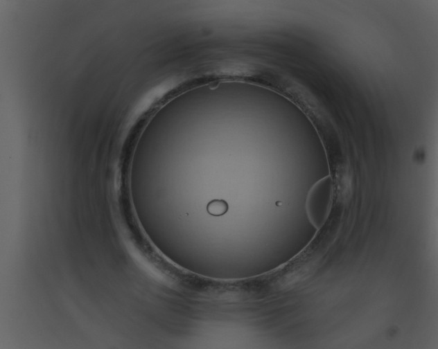 X0000093520726200710191331