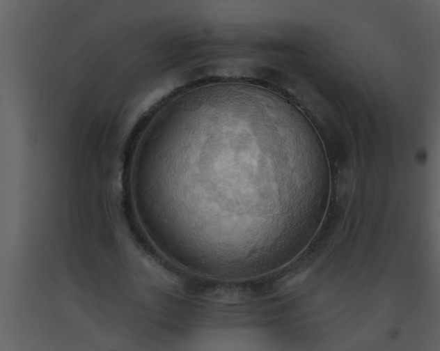 X0000093520727200710191331