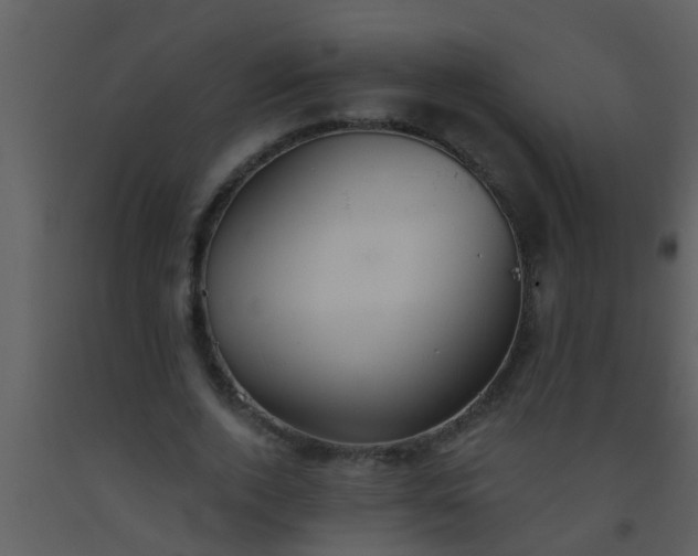 X0000093520728200710191331