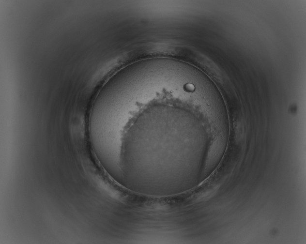 X0000093520729200710191331