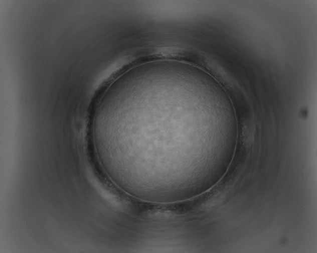 X0000093520730200710191331