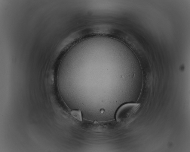 X0000093520731200710191331