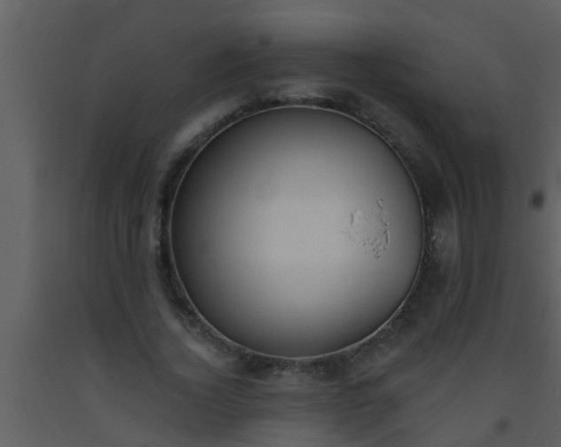 X0000093520732200710191331