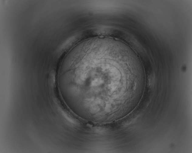 X0000093520733200710191331