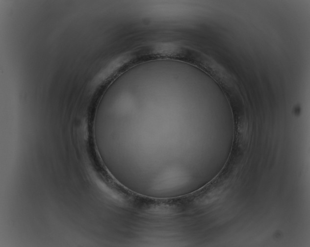 X0000093520734200710191331