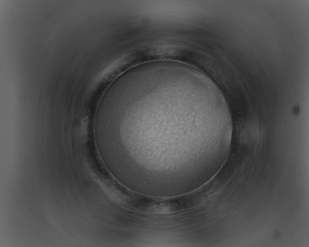 X0000093520735200710191332