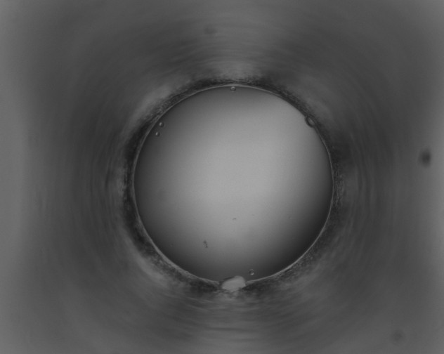 X0000093520736200710191332