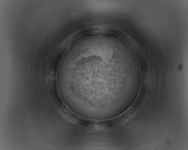 X0000093520737200710191332