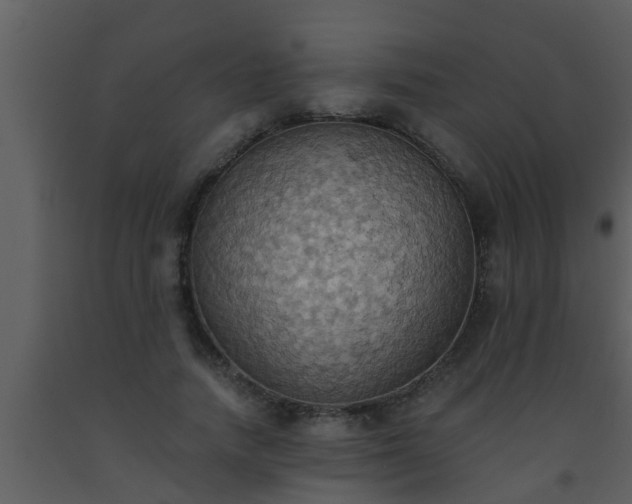 X0000093520738200710191332