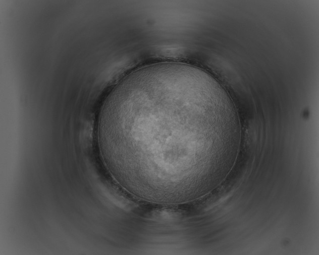 X0000093520739200710191332