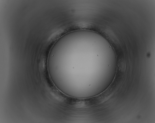 X0000093520740200710191332