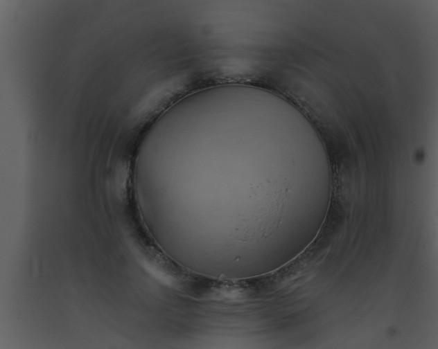 X0000093520742200710191332