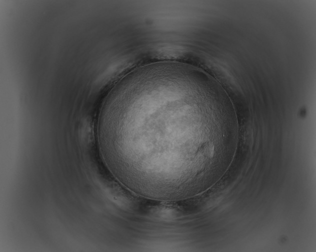 X0000093520743200710191332