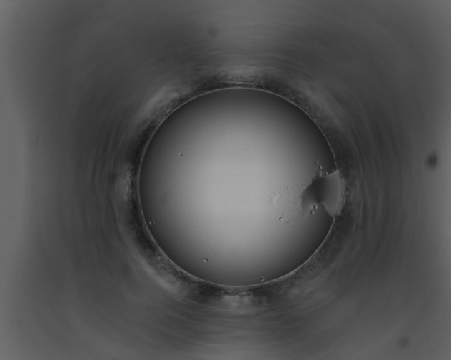 X0000093520744200710191332