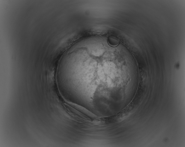 X0000093520745200710191332