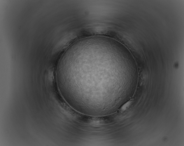 X0000093520746200710191332