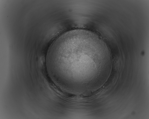 X0000093520747200710191332