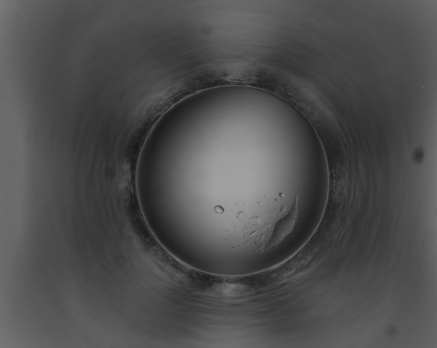 X0000093520748200710191332