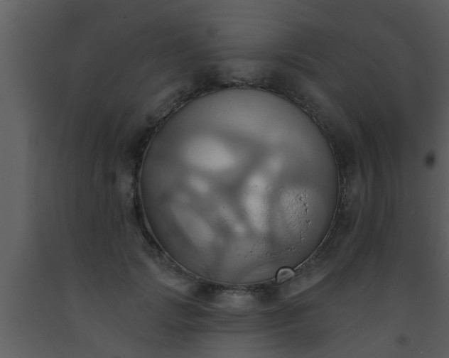 X0000093520749200710191332