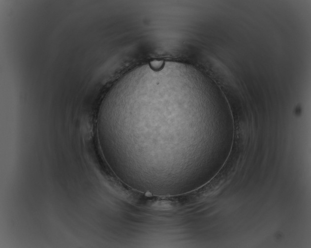 X0000093520751200710191332