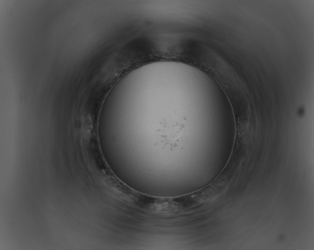 X0000093520752200710191332