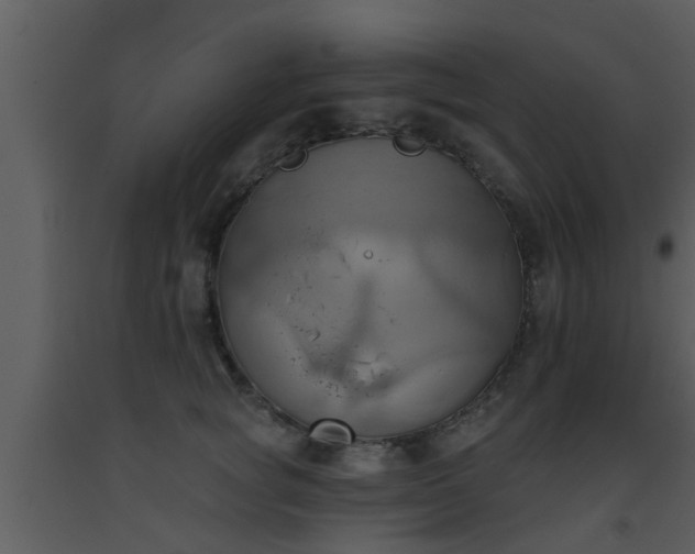 X0000093520757200710191332