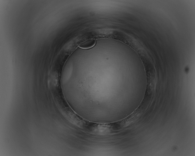 X0000093520758200710191332