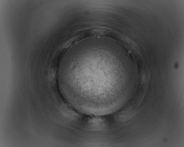 X0000093520759200710191332