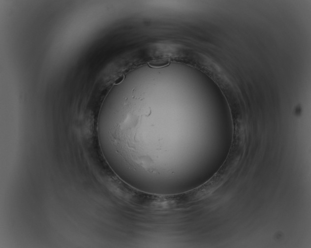 X0000093520760200710191332