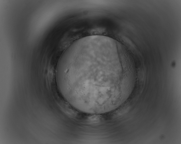 X0000093520761200710191332