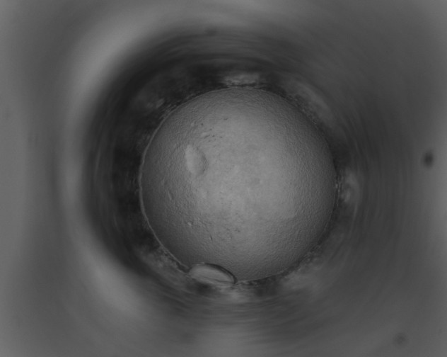 X0000093520763200710191332