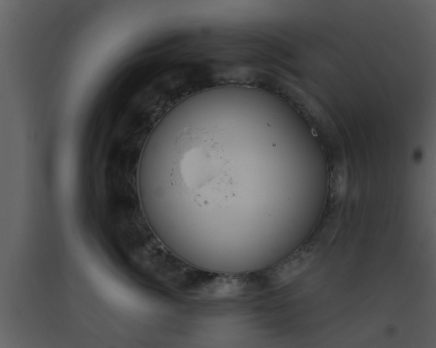 X0000093520764200710191332