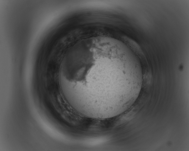 X0000093520765200710191332