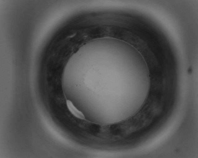 X0000093520766200710191332