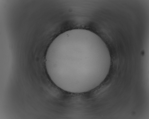 X0000093520769200710191331