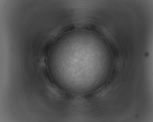 X0000093520770200710191331