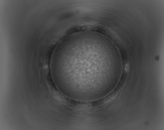 X0000093520771200710191331