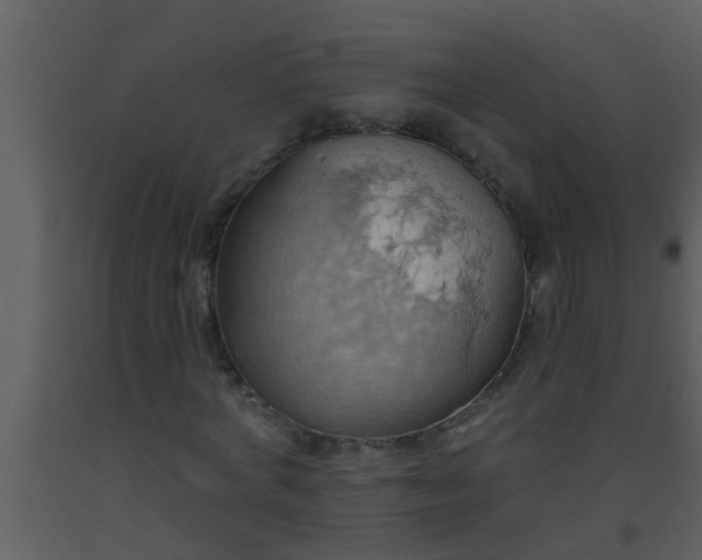 X0000093520772200710191331