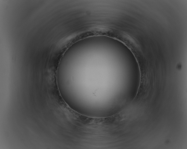 X0000093520773200710191331