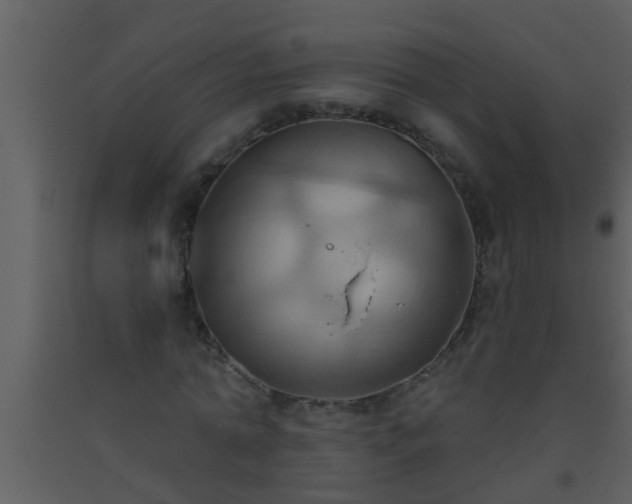 X0000093520774200710191331