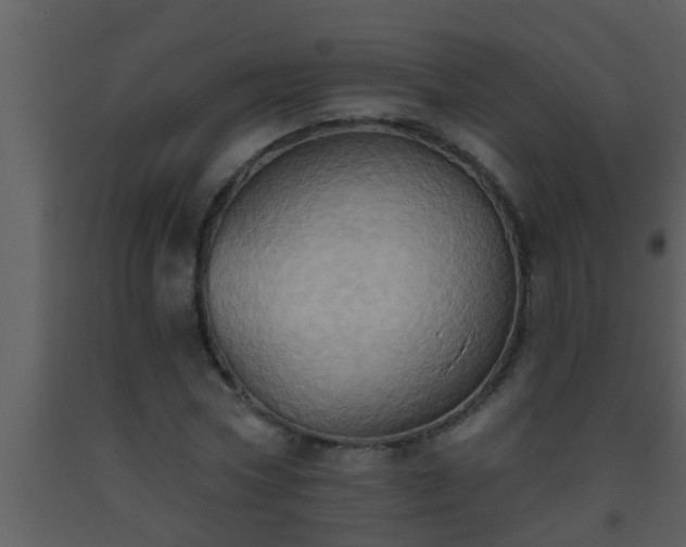 X0000093520778200710191331