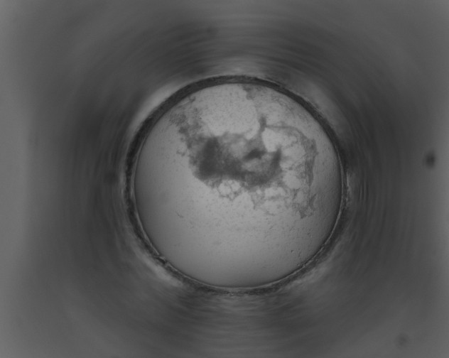 X0000093520780200710191331